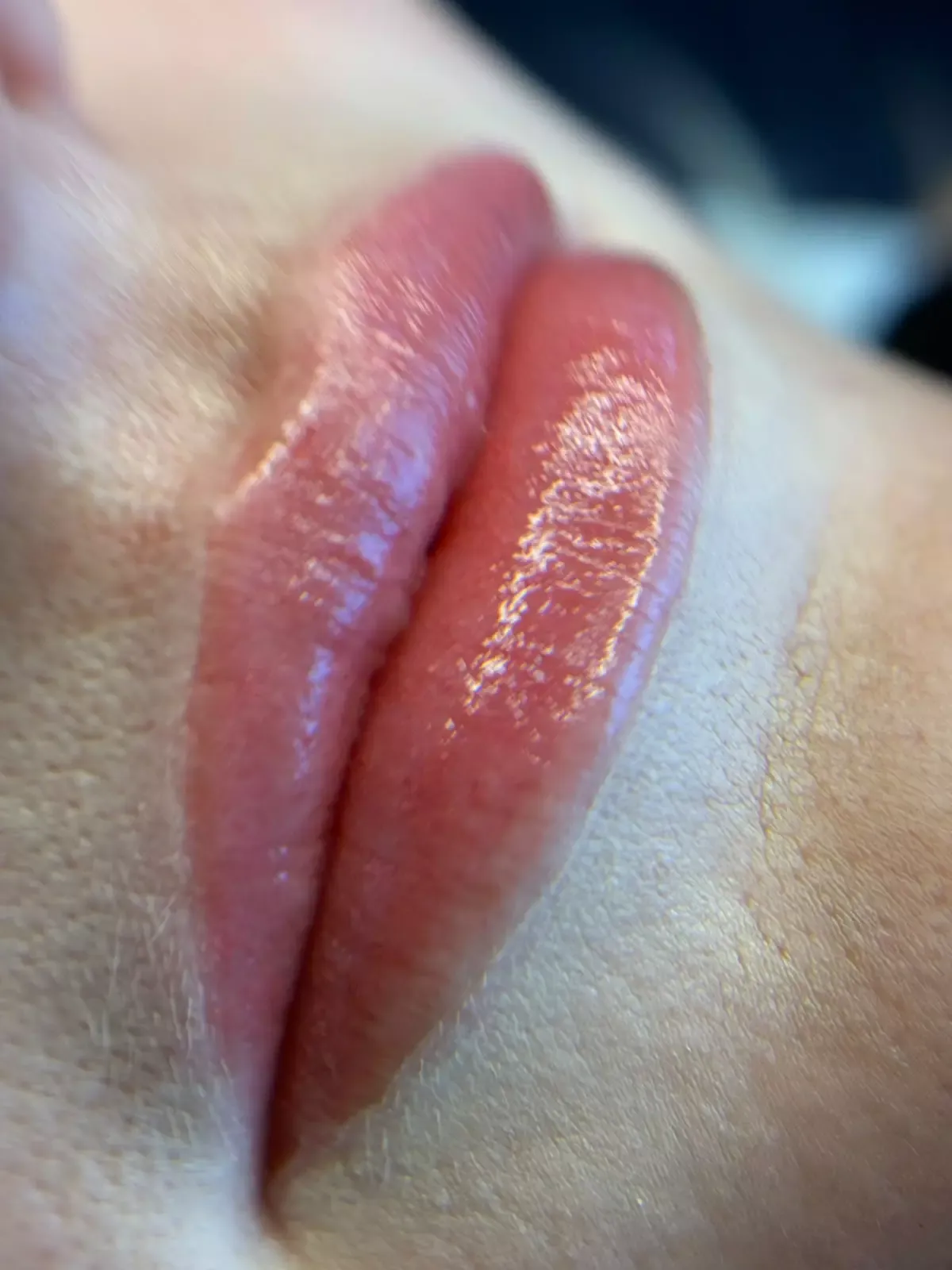 Ombre Lips